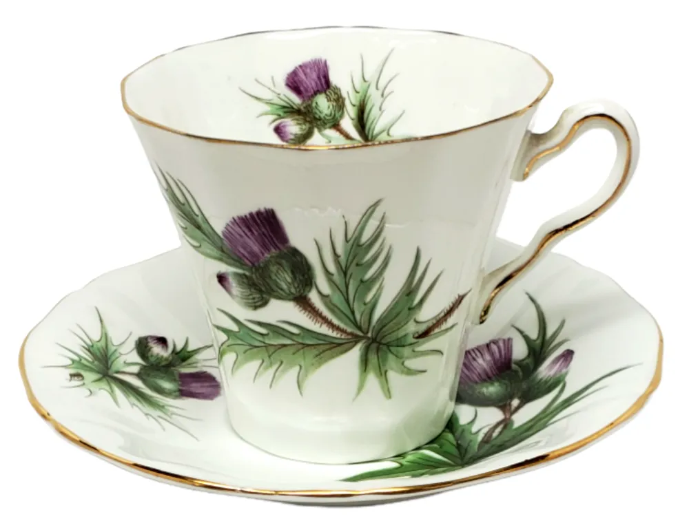 Adderley Ceramics Thistle Cup & Saucer with Gold Trim- Teacups & Saucers
