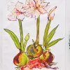 April Cornell Amaryllis (Striped) Tea Towel- Tea Towels