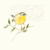 A Ray of Sunshine Greeting Card- Greeting Cards
