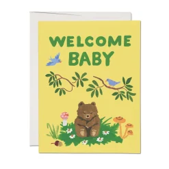 Baby Cub Newborn Card- Greeting Cards
