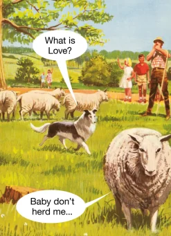 Baby Don't Herd Me Greeting Card- Greeting Cards