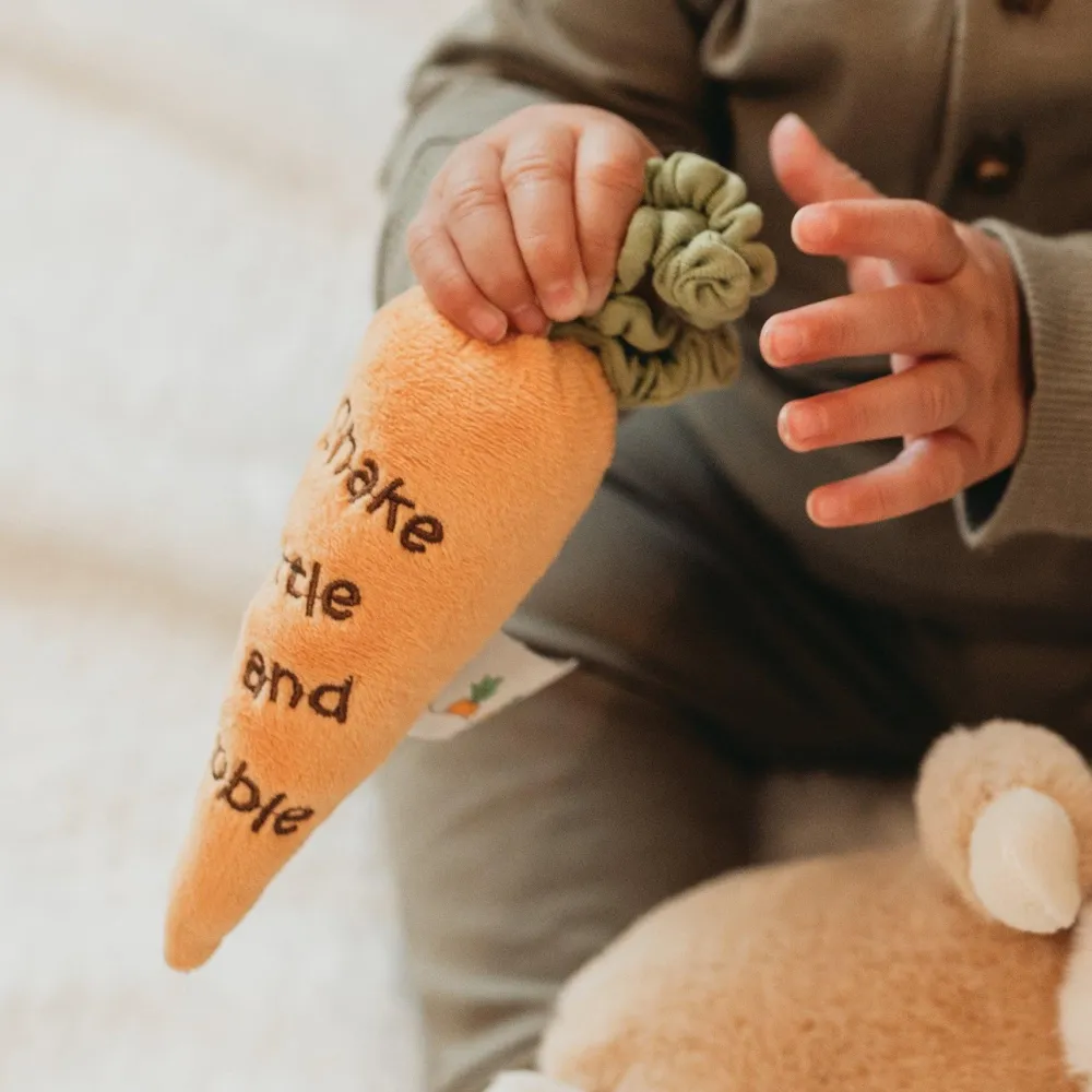 Carrot Rattle- Soft Toys|Toys
