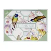 Caspari Hummingbird Trellis Thank You Boxed Cards- Boxed Cards