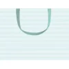 Caspari Mini Stripe Robin's Egg Medium Gift Bag- Gift Bags