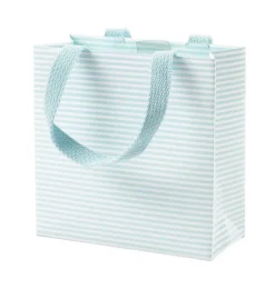 Caspari Mini Stripe Robin's Egg Medium Gift Bag- Gift Bags