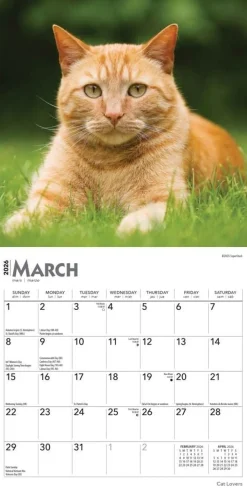 Cat Lovers 2026 Mini Wall Calendar- Calendars