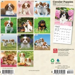Cavalier King Charles Spaniel Puppies 2026 Mini Wall Calendar- Calendars