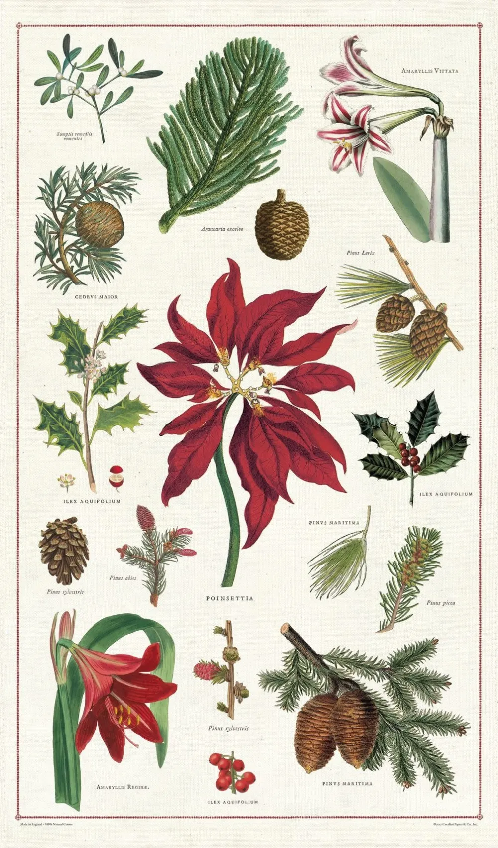 Christmas Botanicals Tea Towel- Tea Towels
