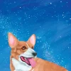 Corgi Sky Birthday Card- Greeting Cards