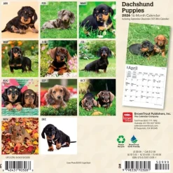 Dachshund Puppies 2026 Mini Wall Calendar- Calendars