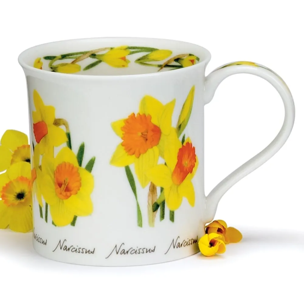 Dunoon Bute Spring Flowers Daffodil Mug- Shape: Bute