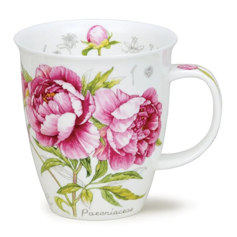 Dunoon Nevis Botanical Sketch Peony Mug- Shape: Nevis