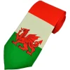 Flag of Wales Red Dragon Tie- Ties