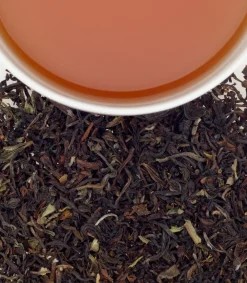 Harney & Sons Darjeeling Loose Leaf 1 lb Bag- Harney & Sons