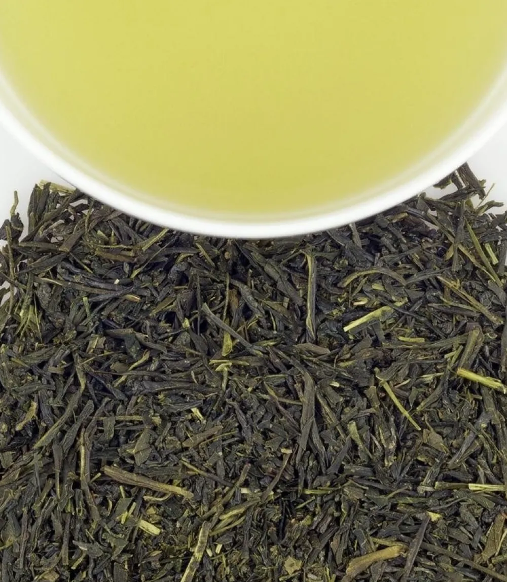 Harney & Sons Japanese Sencha Green 20s- Harney & Sons