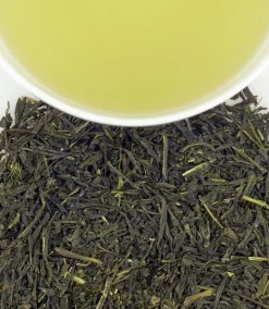 Harney & Sons Japanese Sencha Green 20s- Harney & Sons