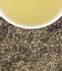 Harney & Sons Organic Green with Citrus & Ginkgo 20s- Harney & Sons