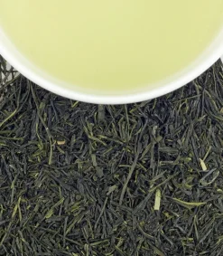 Harney & Sons Organic Sencha Green Loose Leaf Tin- Harney & Sons