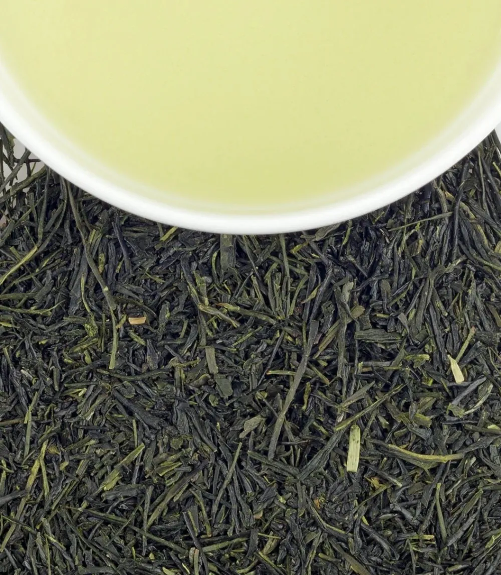 Harney & Sons Organic Sencha Green Loose Leaf Tin- Harney & Sons