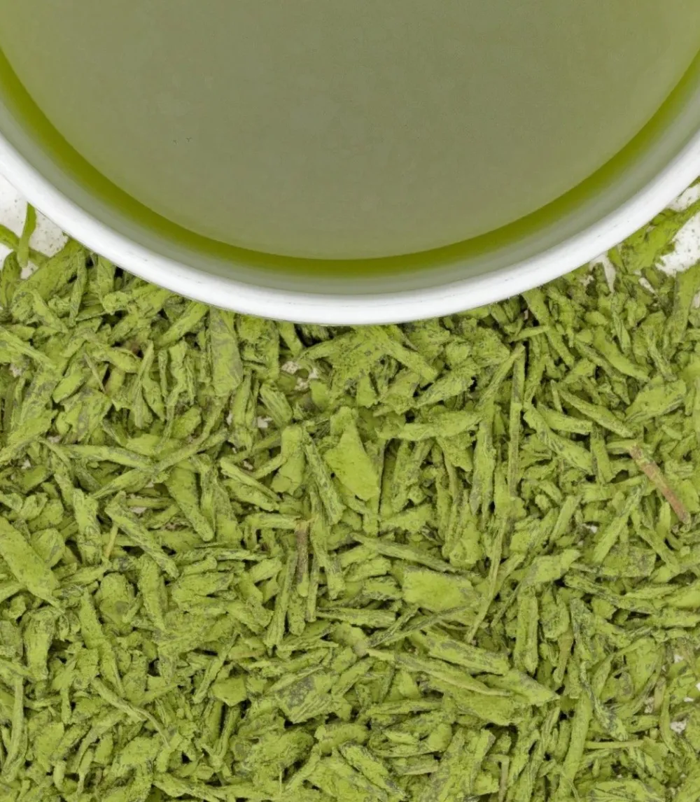Harney & Sons White Peach Matcha Green 1 lb Bag- Harney & Sons