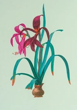 Iris Greeting Card- Greeting Cards