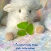 Irish Baby Shower Card- Greeting Cards