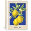 Lemons Boxed Thank You Cards- Boxed Cards