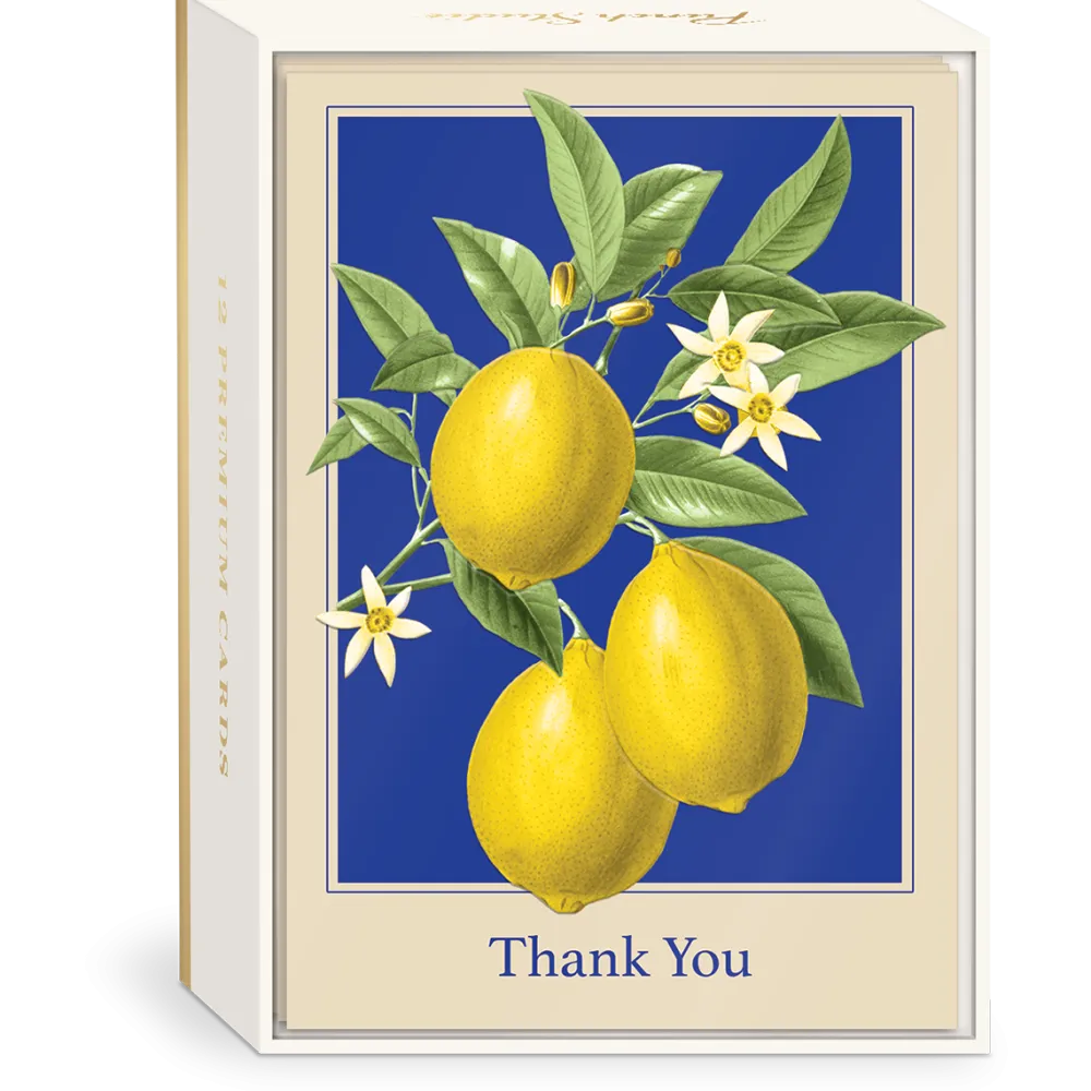 Lemons Boxed Thank You Cards- Boxed Cards