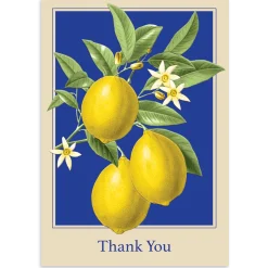 Lemons Boxed Thank You Cards- Boxed Cards