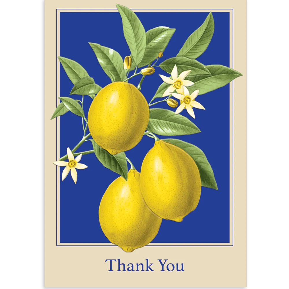 Lemons Boxed Thank You Cards- Boxed Cards