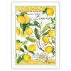 Michel Design Works Lemon Basil Kitchen Towel- Tea Towels