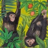 Monkey Business Greeting Card- Greeting Cards