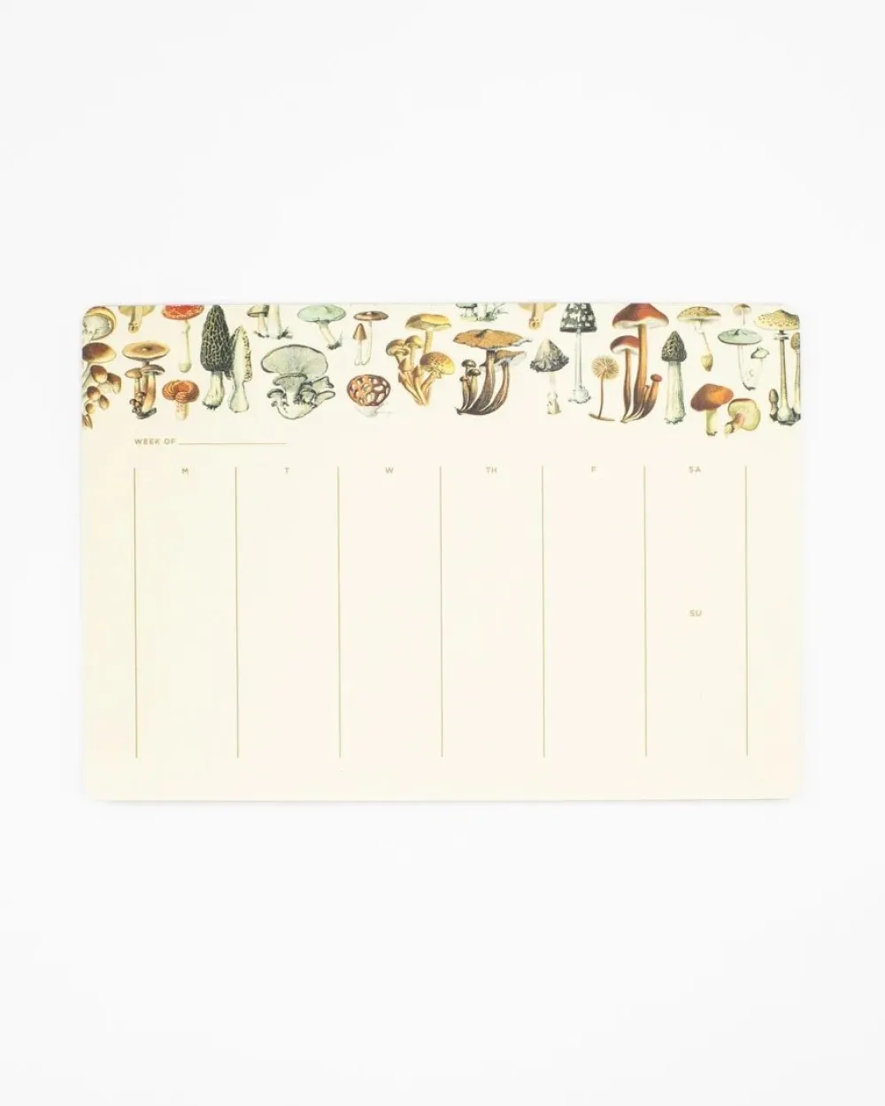 Mushrooms Calendar Notepad- Journals & Other Stationery