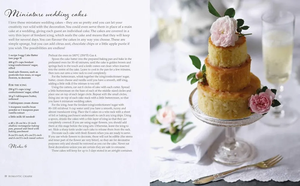 Naked Cakes: Simply Stunning Cakes- Books
