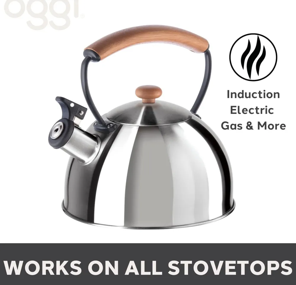 Oggi Stainless Steel Whistling Tea Kettle (Stainless Steel)- Tea Kettles