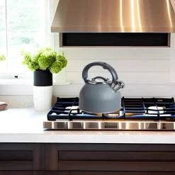 Oggi Stainless Steel Whistling Tea Kettle (Charcoal Grey)- Tea Kettles