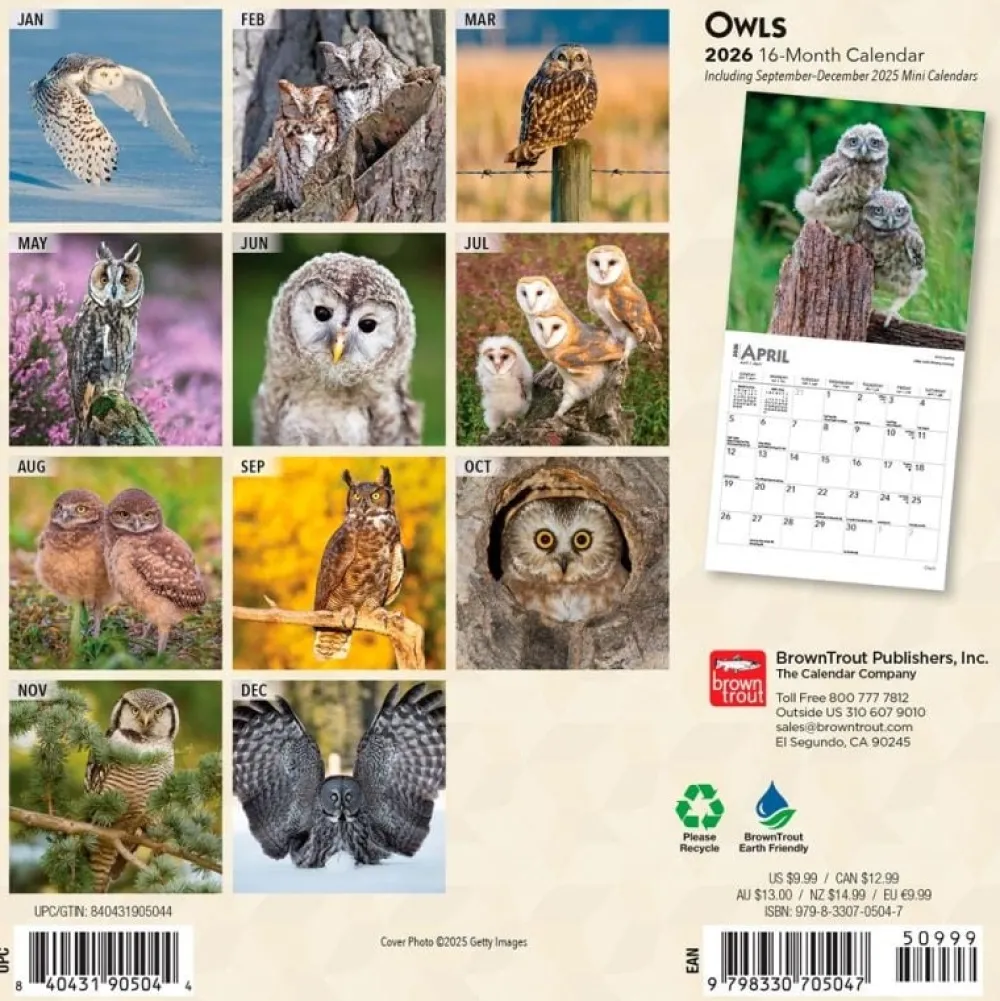 Owls 2026 Mini Wall Calendar- Calendars
