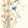 Oxeye Daisies Thinking of You Card- Greeting Cards