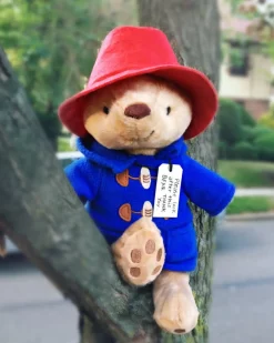 Paddington Bear 8.5