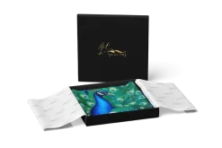 Peacock Silk Heritage Collection Scarf- Scarves & Wraps