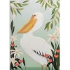 Pelican Greeting Card- Greeting Cards