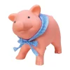 Penny the Pig Rubber Piggy Bank- Toys