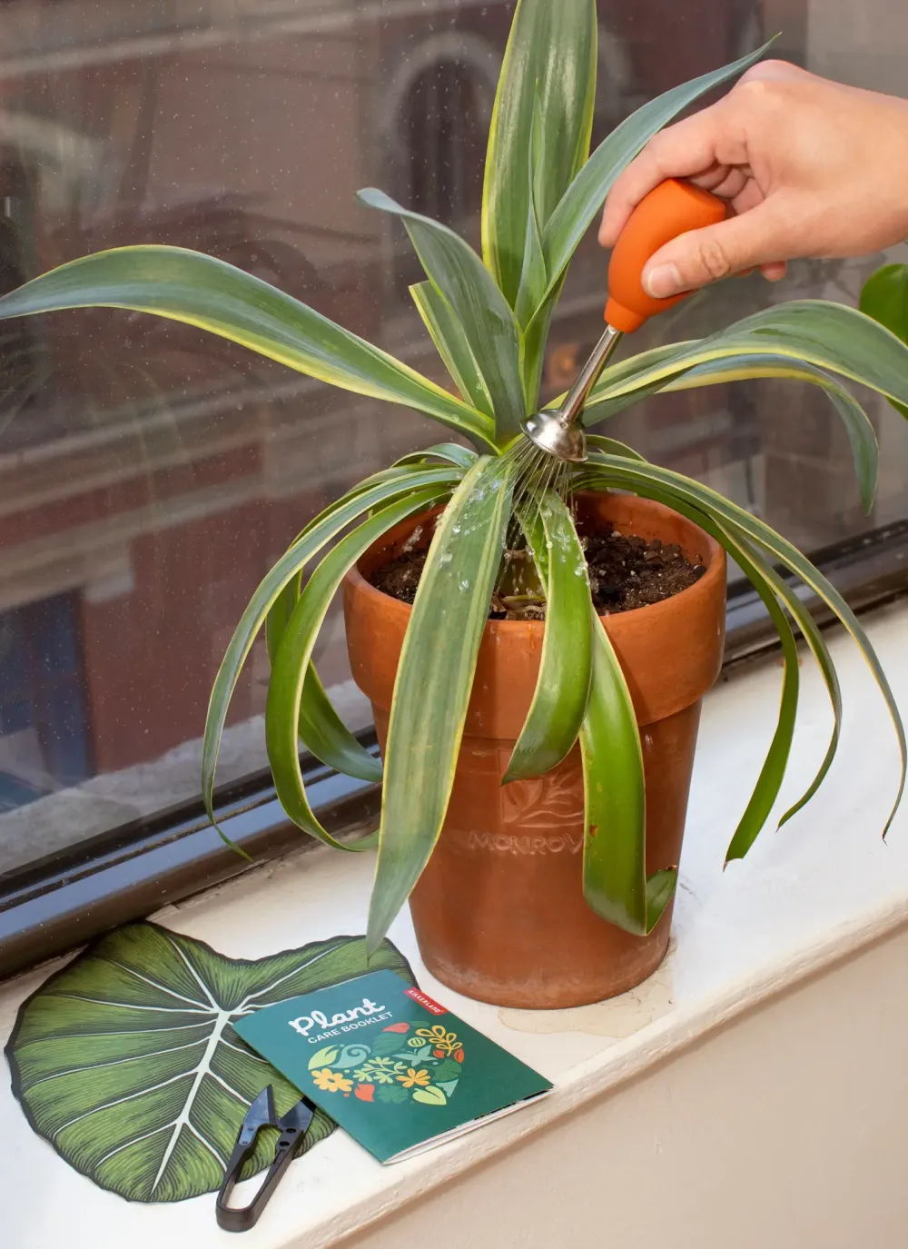 Plant Care Kit- Coloring Books & Crafts|Kitchen Tools