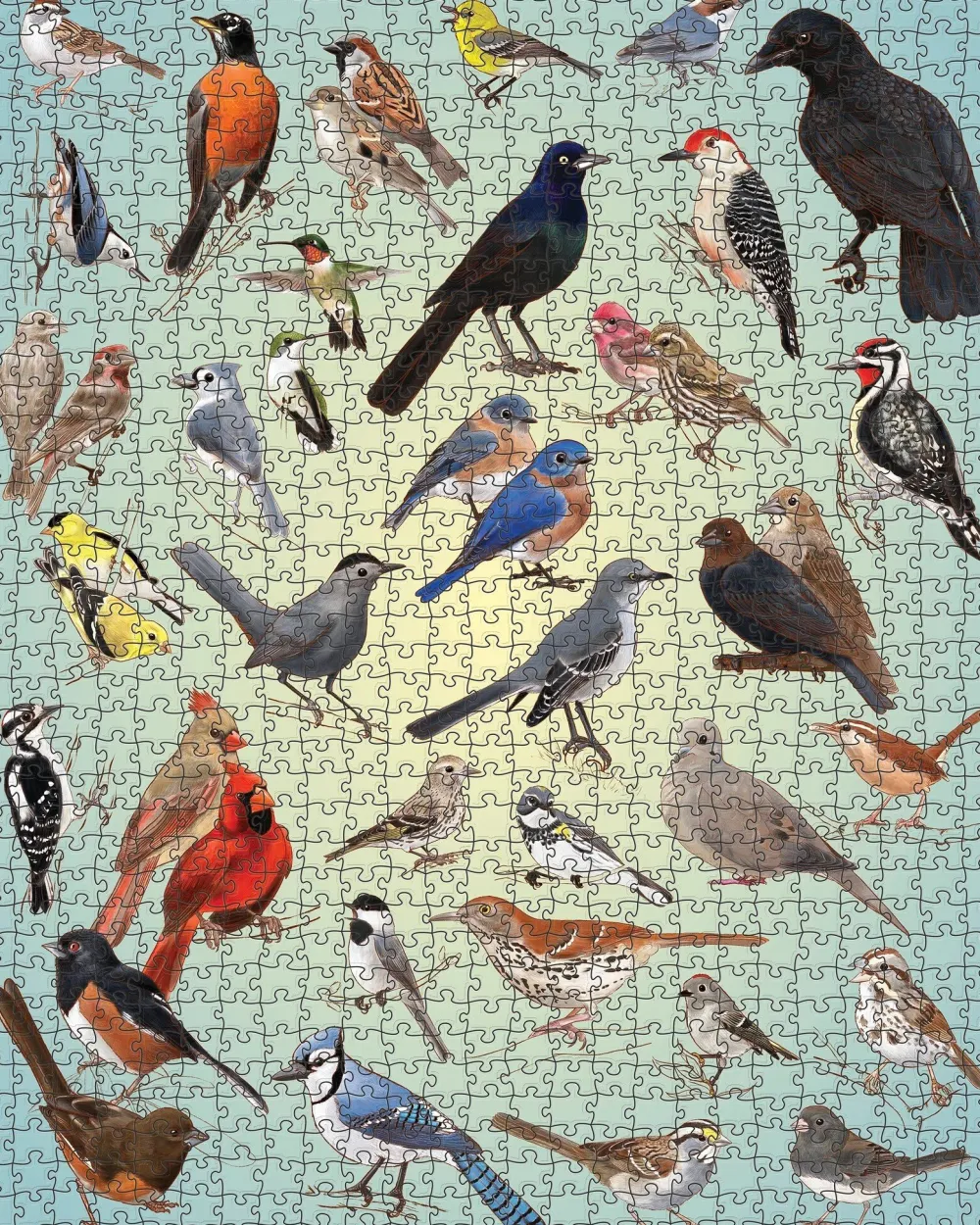 Pomegranate Casey Girard: Backyard Birds 1000-Piece Puzzle- Games & Puzzles