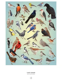 Pomegranate Casey Girard: Backyard Birds 1000-Piece Puzzle- Games & Puzzles