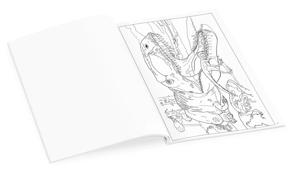Pomegranate Dinosaurs Coloring Book- Coloring Books & Crafts|Activity Books