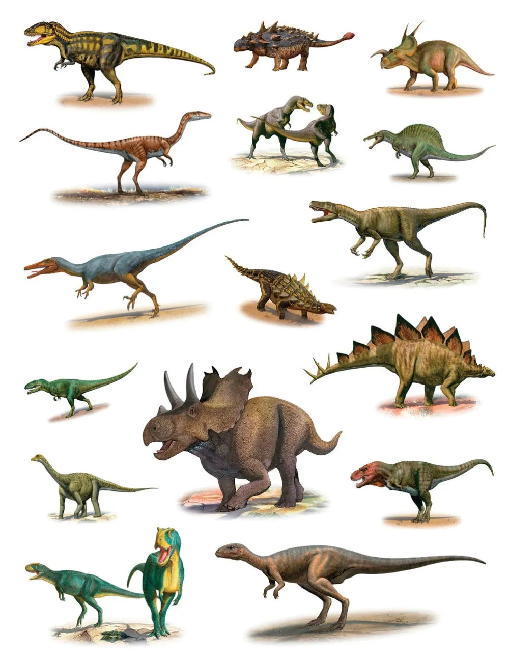 Pomegranate Dinosaurs Sticker Book- Coloring Books & Crafts|Activity Books