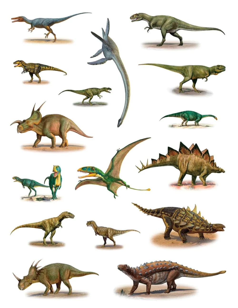 Pomegranate Dinosaurs Sticker Book- Coloring Books & Crafts|Activity Books