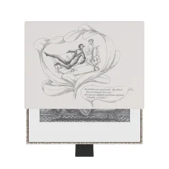 Pomegranate Edward Gorey: The Fraught Settee Boxed Notecards- Boxed Cards