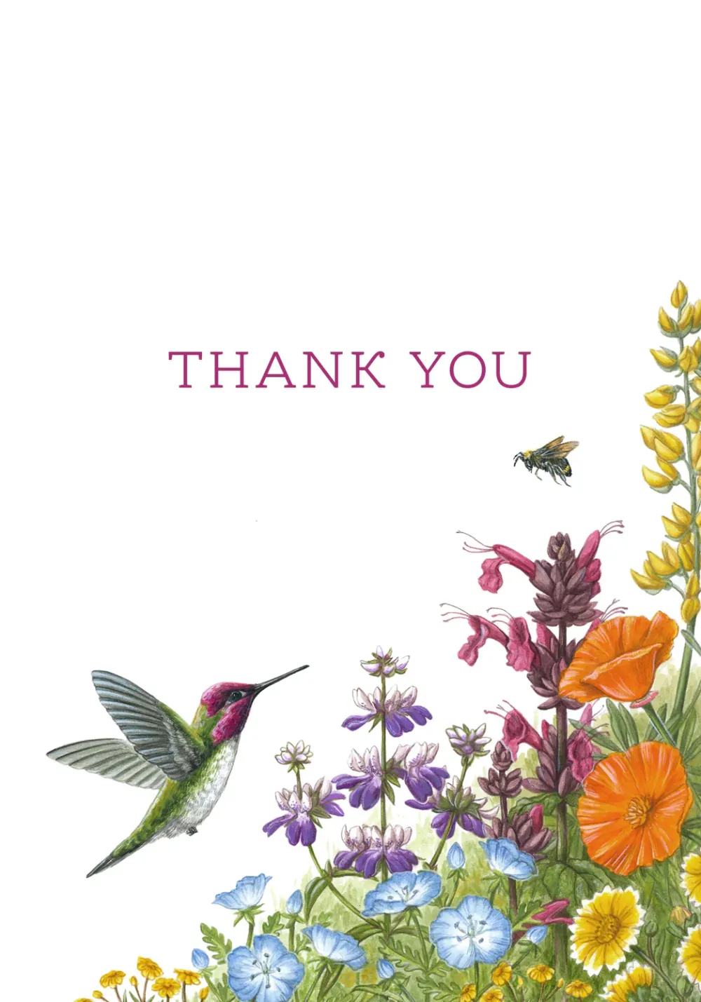 Pomegranate Erin E. Hunter: Wildflowers Thank You Notes- Boxed Cards